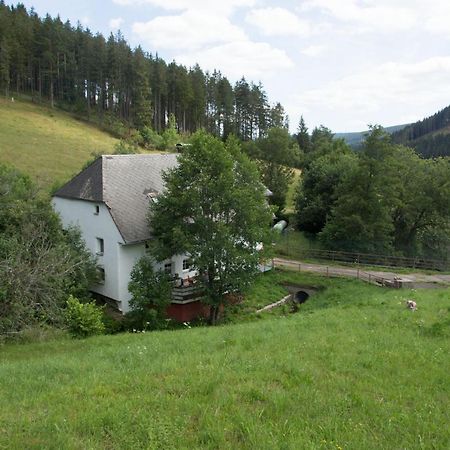 Zur Alten Oele - Hochwertig Und Familienfreundlich Lenzkirch Exterior foto
